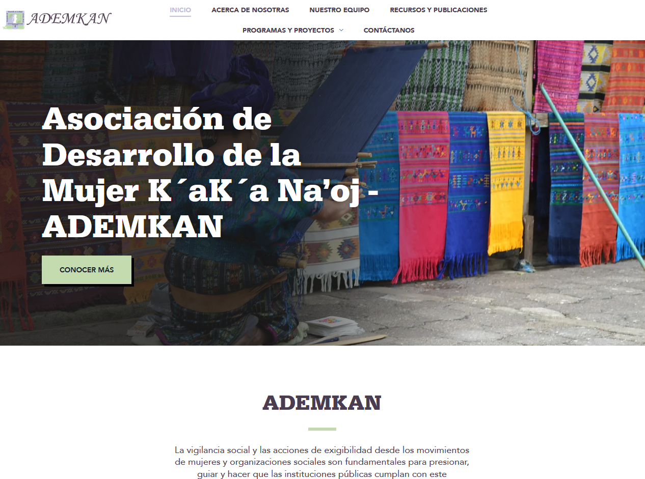 Captura del proyecto ADEMKAN