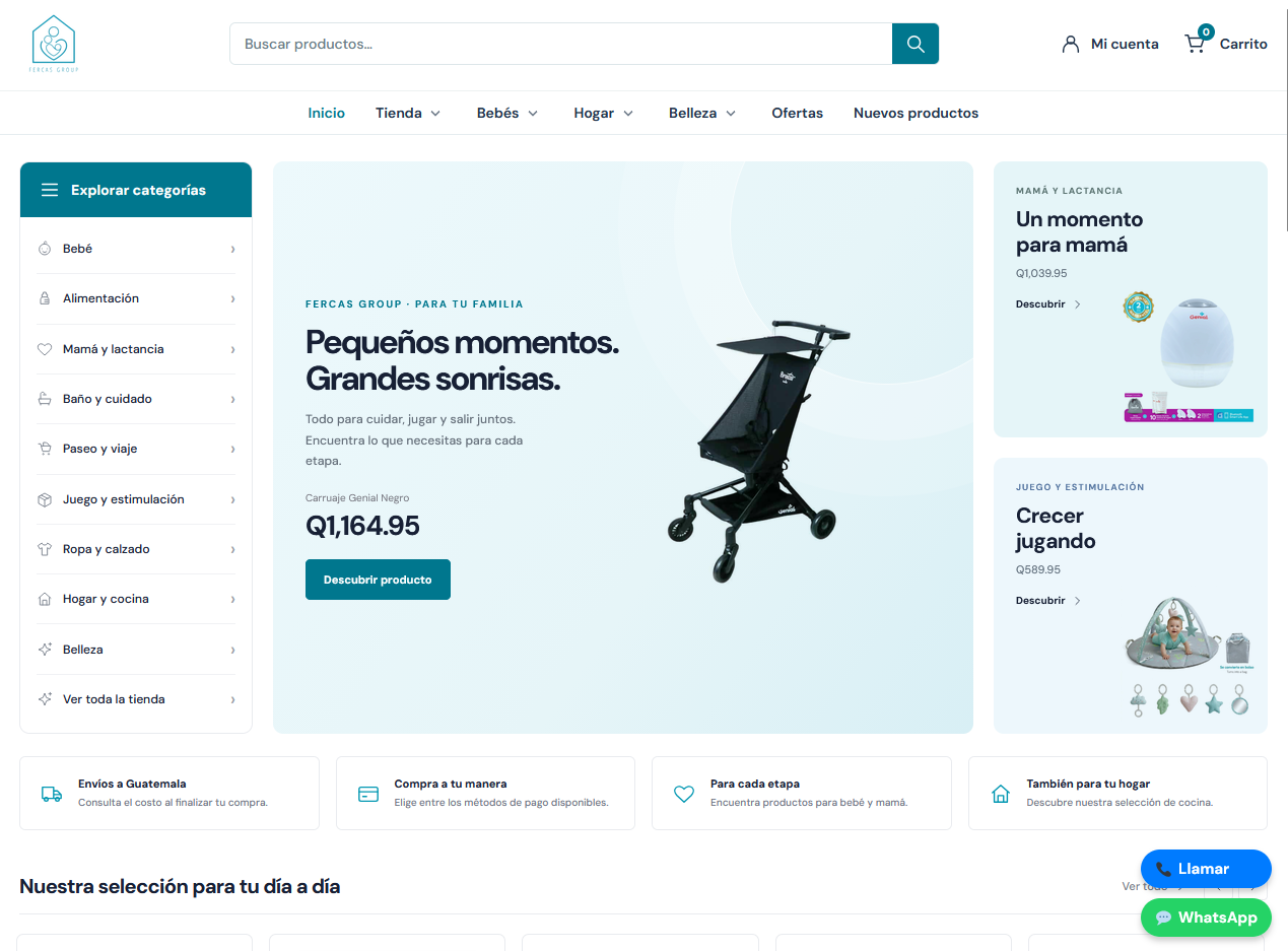 Captura del proyecto Fercas Group
